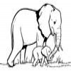 Coloring Elephants -2