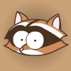 Crazy raccoon