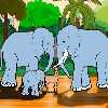 Jumbo my elephant