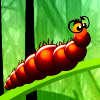 Larva Dream