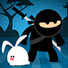 Ninja CC