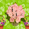 Pick the flowers
