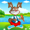 Rabbit Dress up