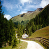 Race in the Alps