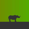 Rhino Run