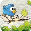 Evolution paper plane