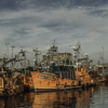 Mar Del Plata Jigsaw