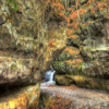 Pewit's Nest Jigsaw