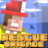 Rescue Brigade